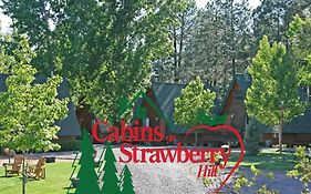 Cabin at Strawberry Hill